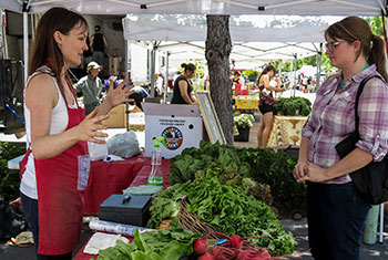 Fruits, Nuts and Vegetable Standardization