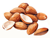 A pile of almonds with their shells on, sitting on a table.

AI generated content