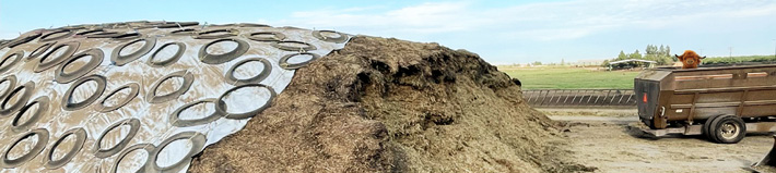 A large pile of silage covered with a plastic sheet weighted down by tires is next to a trailer filled with silage in a rural outdoor setting.

Description generated by AI