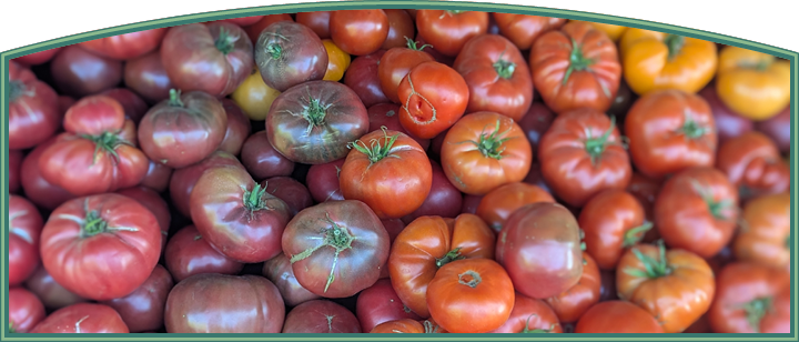 A table filled with a variety of peppers and other vegetables.

AI generated content