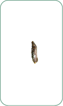 A vertical black curved line on a white background with a small black dot near the top left.

Description generated by AI